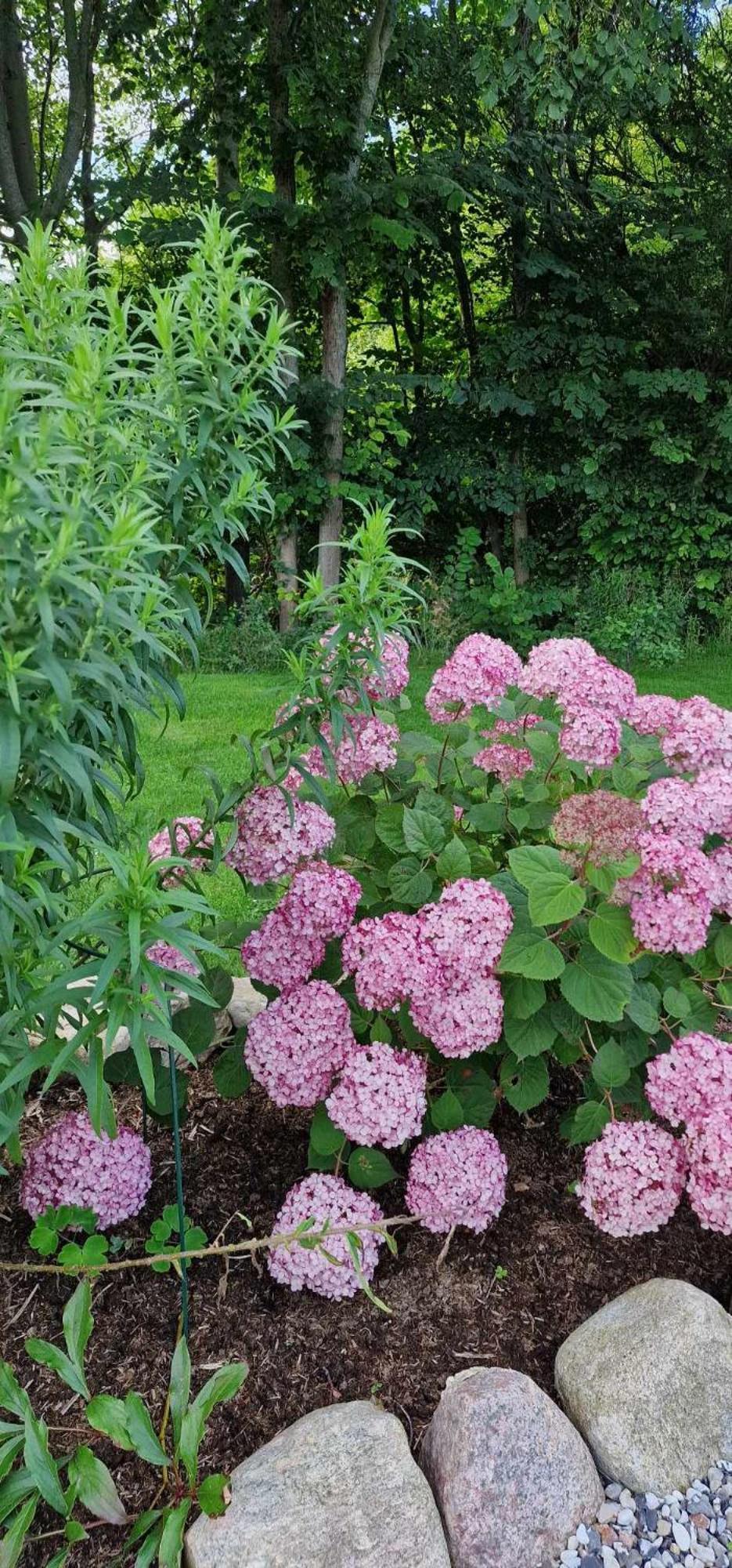 Bed and Breakfast Hos Molsgaarden Knebel Экстерьер фото
